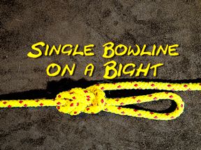 Single Bowline on a Bight