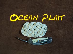 Ocean Plait Mat